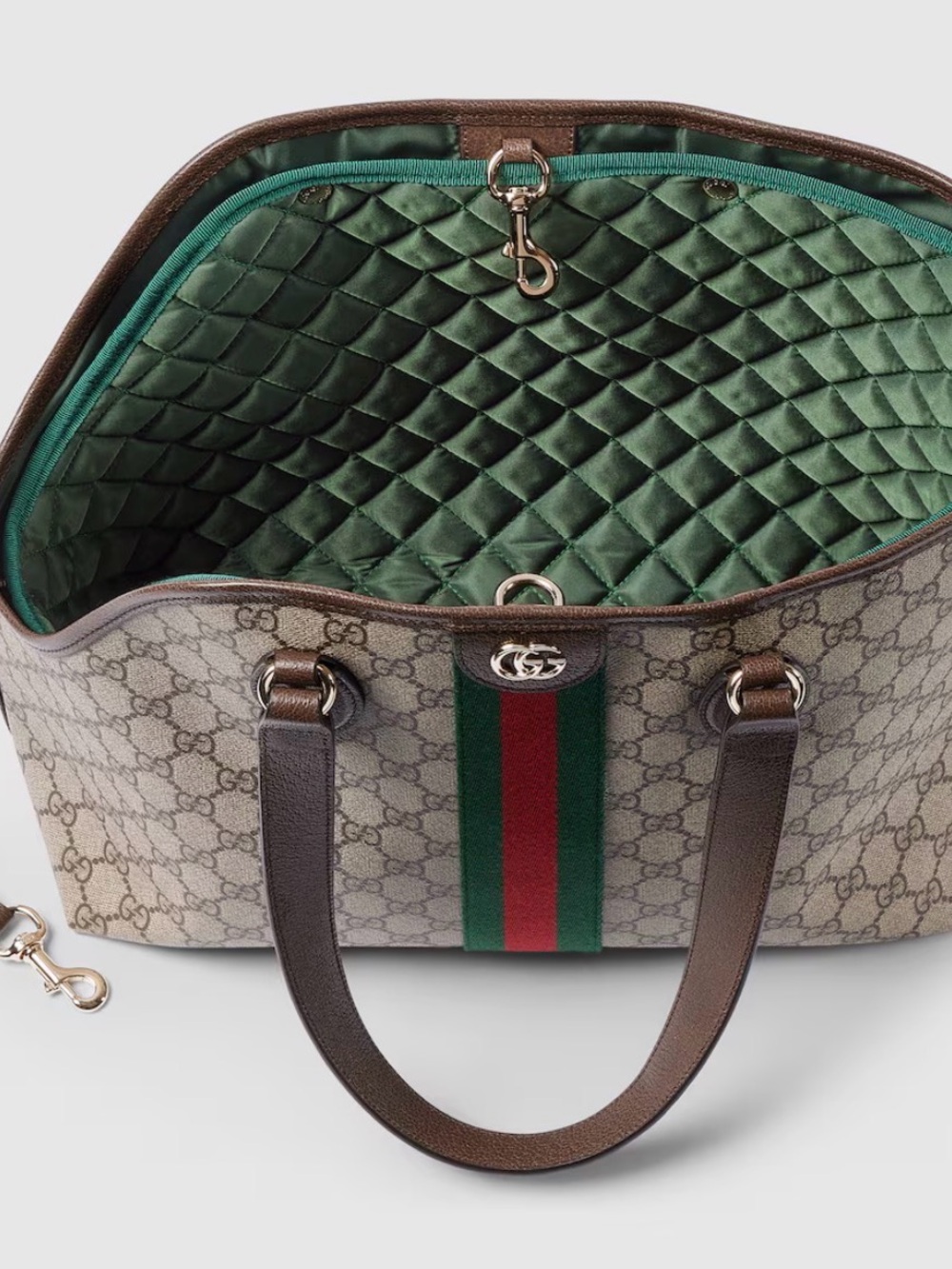 Beige pet carrier with Green and Red Web Stripe